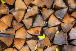 Use Seasoned Firewood at Home - Charleston SC